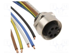 Socket; 7/8"; 0.5m; female; PIN: 5; straight; with leads; PVC