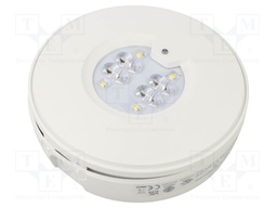 Lamp: LED emergency luminaire