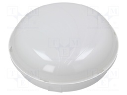 Lamp: LED lighting fixture; PANDA LED; polycarbonate; 4000(typ)K