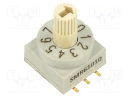 Switch: encoding switch; Pos: 10; 0.2A/42VDC; -60÷125°C; 80mΩ