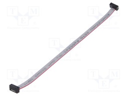 Ribbon cable with IDC connectors; Tape ph: 0.64mm; 152.4mm