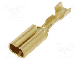 Terminal: flat; 2.8mm; 0.8mm; female; 0.14÷0.3mm2; crimped; brass