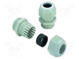 Cable gland