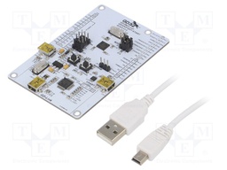 Dev.kit: RISC-V; USB B mini,pin strips; prototype board