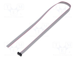 Ribbon cable with IDC connectors; Tape ph: 0.64mm; 431.8mm