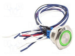 Switch: vandal resistant; Pos: 2; DPST-NO + DPST-NC; 2A/48VDC