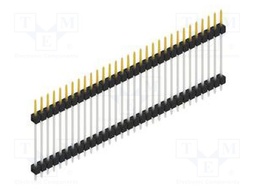 Connector: pin strips; pin header; male; PIN: 31; 2.54mm; THT; 1x31