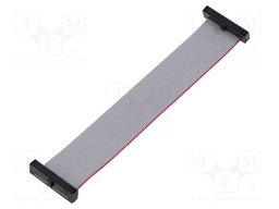 Ribbon cable with IDC connectors; Tape ph: 0.64mm; 101.6mm