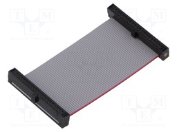 Ribbon cable with IDC connectors; Tape ph: 0.64mm; 50.8mm