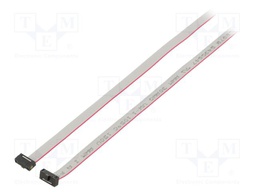 Ribbon cable with IDC connectors; Tape ph: 0.64mm; 4064mm