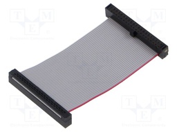 Ribbon cable with IDC connectors; Tape ph: 0.64mm; 50.8mm