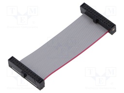 Ribbon cable with IDC connectors; Tape ph: 0.64mm; 50.8mm