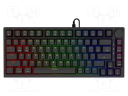 Keyboard; black; USB A,USB C; magnetic,wired,US layout; 1.8m