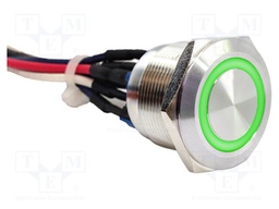 Switch: vandal resistant; DPST-NO + DPST-NC; 2A/48VDC; IP65; PV8
