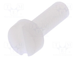 Screw; M4x12; 0.7; Head: cheese head; slotted; 1,3mm; polyamide