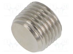 Accessories: screw plug; R 1/4" external; nickel plated brass