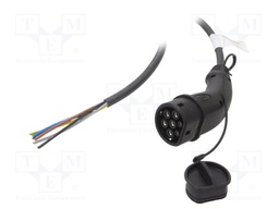 Cable; wires,Type 2; 5m; three-phase; 5x2,5mm2+1x0,5mm2; 20A; 480V