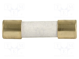 Fuse: fuse; time-lag; 1A; 250VAC; 300VDC; SMD; ceramic,cylindrical