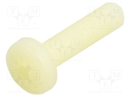 Screw; M6x25; 1; Head: cheese head; Pozidriv; 1,4mm; polyamide