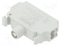 Illuminating unit; 22mm; Platinum; -25÷70°C; Illumin: LED; front