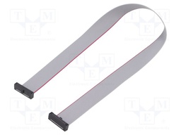 Ribbon cable with IDC connectors; Tape ph: 0.64mm; 298.45mm