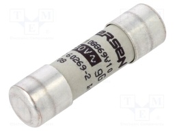 Fuse: fuse; gG,time-lag; 10A; 690VAC; 10x38mm