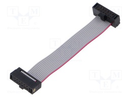 Ribbon cable with IDC connectors; Tape ph: 0.64mm; 50.8mm