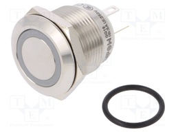 Switch: vandal resistant; Pos: 2; SPST-NO; 0.5A/220VAC; 2A/36VDC