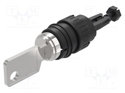 Switch: rotary with key; Stabl.pos: 1; IP65; flat; 71; Pos: 2