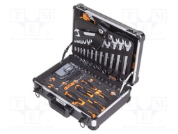 Kit: general purpose; for diy; Beta Worker; case; 100pcs.