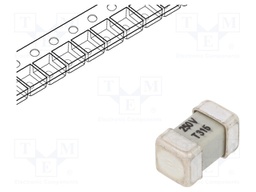 Fuse: fuse; time-lag; 315mA; 250V; SMD; ceramic; 8x4,5x4,5mm; brass