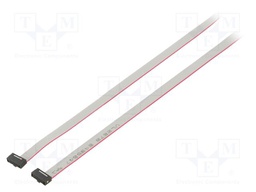 Ribbon cable with IDC connectors; Tape ph: 0.64mm; 1016mm