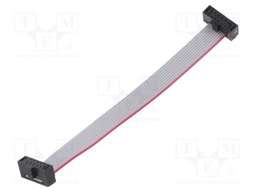 Ribbon cable with IDC connectors; Tape ph: 0.64mm; 76.2mm