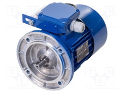 Motor: AC; 1-phase; 0.25kW; 230VAC; 1340rpm; 6.3kg; IP54; -15÷40°C