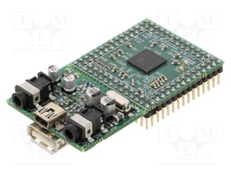 Dev.kit: evaluation; VS1005; In the set: prototype board