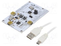 Dev.kit: RISC-V; USB B mini,pin strips; prototype board