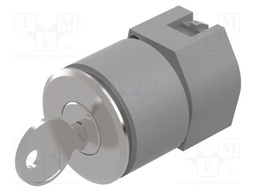 Switch: rotary with key; 30mm; Stabl.pos: 1; silver; none; IP65