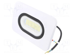 Lamp: LED flood light; 4000(typ)K; IP65; Body: white; 50W; 230VAC