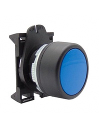 PUSH BUTTON BLUE FLUSH
