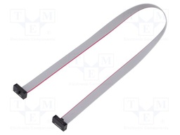 Ribbon cable with IDC connectors; Tape ph: 0.64mm; 254mm