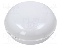 Lamp: LED lighting fixture; PANDA LED; polycarbonate; 4000(typ)K