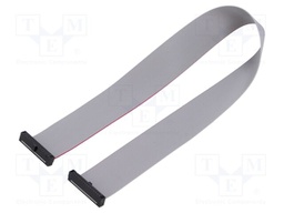 Ribbon cable with IDC connectors; Tape ph: 0.64mm; 304.8mm