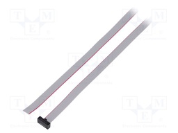 Ribbon cable with IDC connectors; Tape ph: 0.64mm; 990.6mm