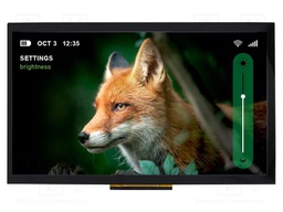 Display: TFT; 1024x600; Illumin: LED; Window dimensions: 224x127mm