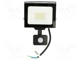 Lamp: LED flood light; 230VAC; 30W; 6400K; CRImin: 80; 3000lm