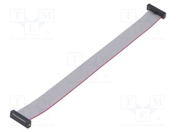 Ribbon cable with IDC connectors; Tape ph: 0.64mm; 152.4mm