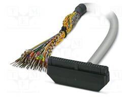 Ribbon cable with IDC connectors; IDC/FLK 50pin,wires; 6m