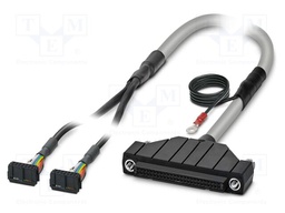 Ribbon cable with IDC connectors; Contacts ph: 2.54mm; 10m