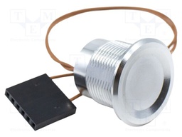 Switch: vandal resistant; Pos: 2; SPST-NO; 1A/24VDC; OFF-(ON)