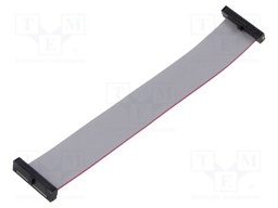 Ribbon cable with IDC connectors; Tape ph: 0.64mm; 114.3mm
